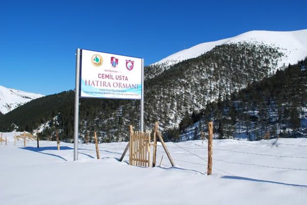 Cemil Usta Hatıra Ormanı tabelası