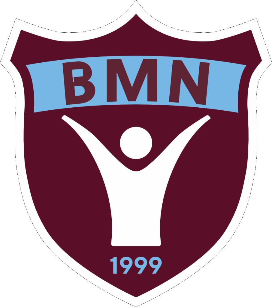 BordoMaviNet