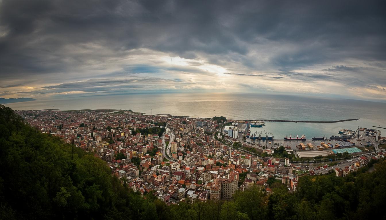 trabzon yüzölçümü