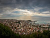 trabzon yüzölçümü